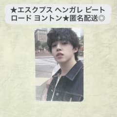 SEVENTEEN エスクプス ヘンガレ ヨントン トレカ セブチ スンチョル