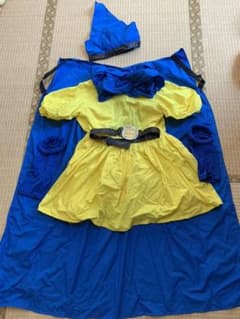 アリーナ服　ドラクエ4のサムネイル
