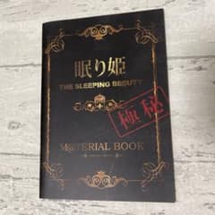 잠자는 공주 M @ TERIAL BOOK 765 Production 아이머스