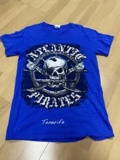 GILDAN 半袖Tシャツ ブルー スカルプリントのサムネイル
