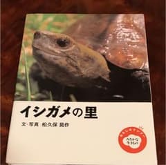イシガメの里のサムネイル