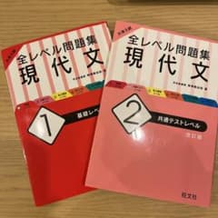 大学入試　全レベル問題集　現代文1基礎レベル/2共通テストレベルのサムネイル