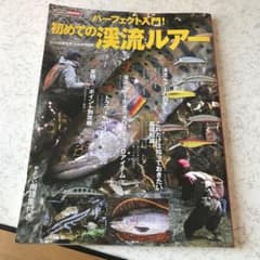 パーフェクト入門!初めての渓流ルアー : ポイントの見方から攻め方まで網羅のサムネイル