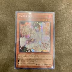 もち様専用のサムネイル