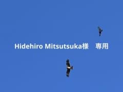 Hidehiro Mitsutsuka様専用】ドレッサー - メルカリ