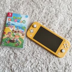 あつまれ どうぶつの森のサムネイル