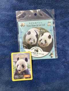 【新品未開封】上野動物園パンダ シャオシャオ & レイレイ 缶バッジのサムネイル