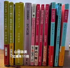山田詩美 文庫本 11冊セットのサムネイル
