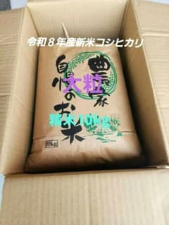 令和8年度産 高知県産こしひかり 精米10kgのサムネイル
