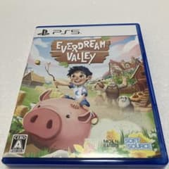 （即日発送）EVERDREAM VALLEY PS5