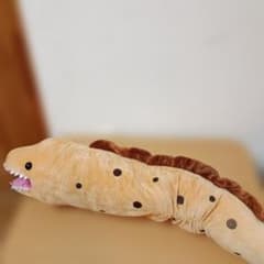 ウツボのぬいぐるみ BIGサイズ - メルカリ