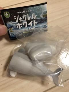 シャクレルホワイトクジラのサムネイル