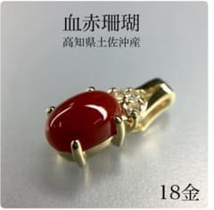 K18 血赤珊瑚 デザインペンダント0.93ct - メルカリ