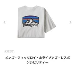 パタゴニア フィッツロイ ホライゾンズ レスポンシビリティー Tシャツのサムネイル