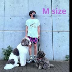 m87515559358_1.jpg?1691808718