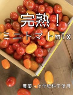 農薬不使用！完熟ミニトマトmixのサムネイル