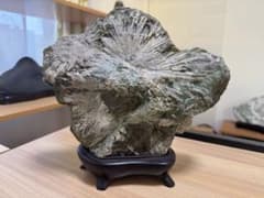 大型 下仁田 菊花石 菊寿石 鑑賞石 水石 自然石 盆石 盆栽 木製台座付き 大型 下仁田 菊花石 菊寿石 鑑賞石 水石 自然石 盆石 盆栽 木製台座