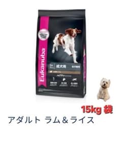 Eukanuba ラム&ライス成犬用 ドライフード 15kg - メルカリ
