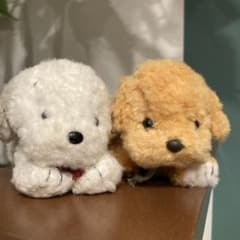 レトロ ジョイフルメイト ゴールデンレトリバー たけのこ うめ吉