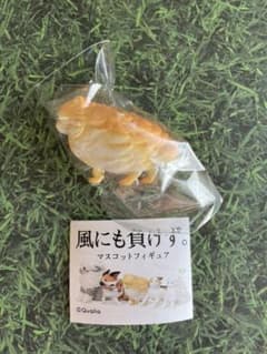 風にも負けず　　ガチャ　ポメラニアンのサムネイル