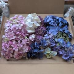 紫陽花 ドライフラワー 花材 アソートセット - メルカリ