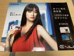 水川あさみ　CASIO EXILIM（エクシリム）ポスター5枚セット m87539737481_1.jpg?1647170129