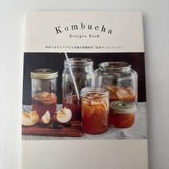 Kombucha Recipes Book 紅茶キノコ レッスンのサムネイル