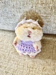 はむにぎり用ワンピース&ボンネットのサムネイル