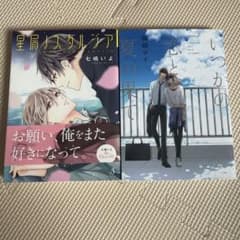 ボーイズラブ漫画 2冊セット 星屑ノスタルジア いつかの恋と夏の果てのサムネイル