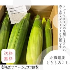 北海道産サニーショコラ10本のサムネイル