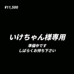 いけちゃん様専用 オーダー品 - メルカリ
