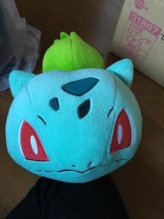 ポケモン フシギダネ ぬいぐるみのサムネイル