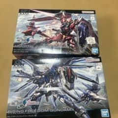 イモータルジャスティス　ライジングフリーダムのサムネイル