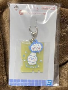 이치 반 쿠지 치이카와 ~ 왠지 먼지 치이카와의 탕 ~ F상