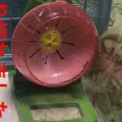 りゅー様専用ページのサムネイル