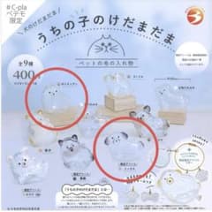 うちの子のけだまだま　限定アソートミックス　ポメラニアン　2種セット