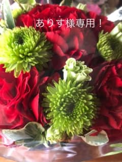 ありす 様 専用出品です！のサムネイル