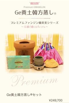 ファンジンGe黄土よもぎ蒸し一式セット ファンジン 黄土韓方蒸し スタートセット よもぎ蒸し 自宅 黄土よもぎ