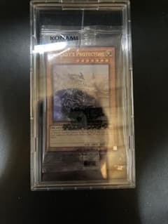 遊戯王 The Lady's Protectors 未開封 - メルカリ