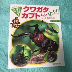 クワガタ・カブトムシとそのなかまびっくり!のサムネイル