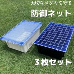 防御ネット　ＮＶボックス　メダカ　飼育ケース　３枚セットのサムネイル