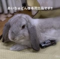 あいちゅどん様専用、リピーター様割引きしています！小動物のおやつのサムネイル