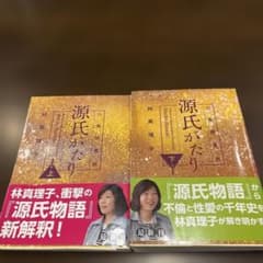 源氏物語 上・下 林真理子 新解釈のサムネイル