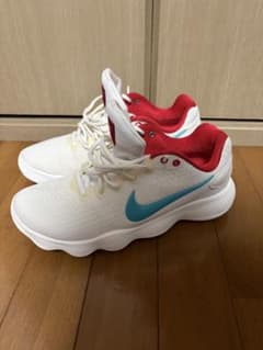 Nike ハイパーダンク2017 low EPのサムネイル