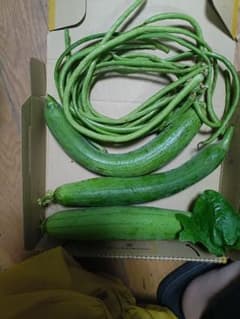 新鮮 ヘチマ400g ささげ200ｇ 産地直送 収穫したてのサムネイル
