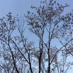 マサル様専用のサムネイル