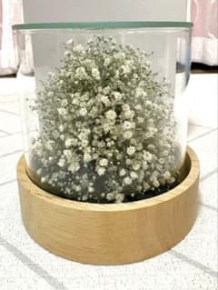 Reine De Fleur レンデフロール プリザーブドフラワー かすみ草 - メルカリ