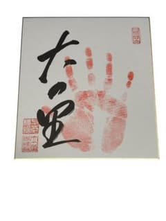 大相撲☆横綱 大の里☆肉筆サイン手形 - メルカリ