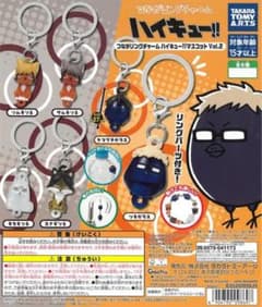 つながリングチャームハイキュー！！ サムキツネのサムネイル