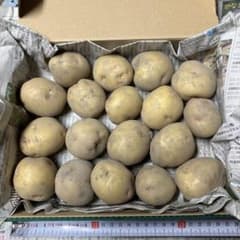 新ジャガイモ（男爵）S1.3kgのサムネイル